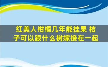 红美人柑橘几年能挂果 桔子可以跟什么树嫁接在一起